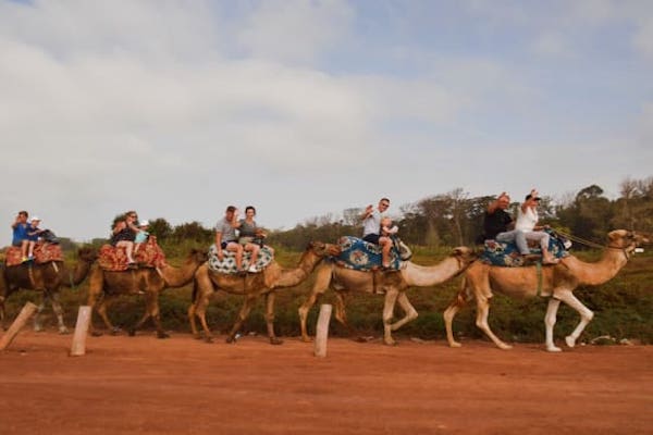 Agadir: Sunset Camel Ride with BBQ Dinner & Hotel Transfer