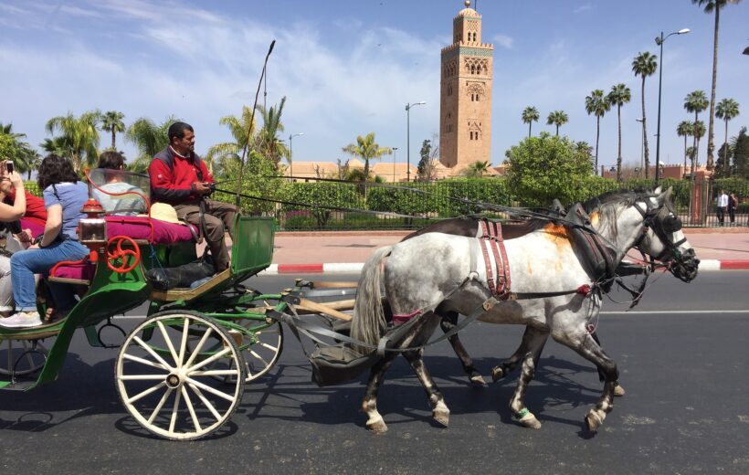 Balade en Calèche au Crépuscule à Marrakech